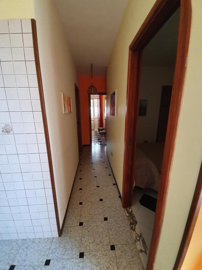 Nest Swim-Up Suite