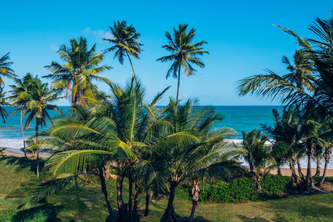 Junior Suite Ocean Front Single