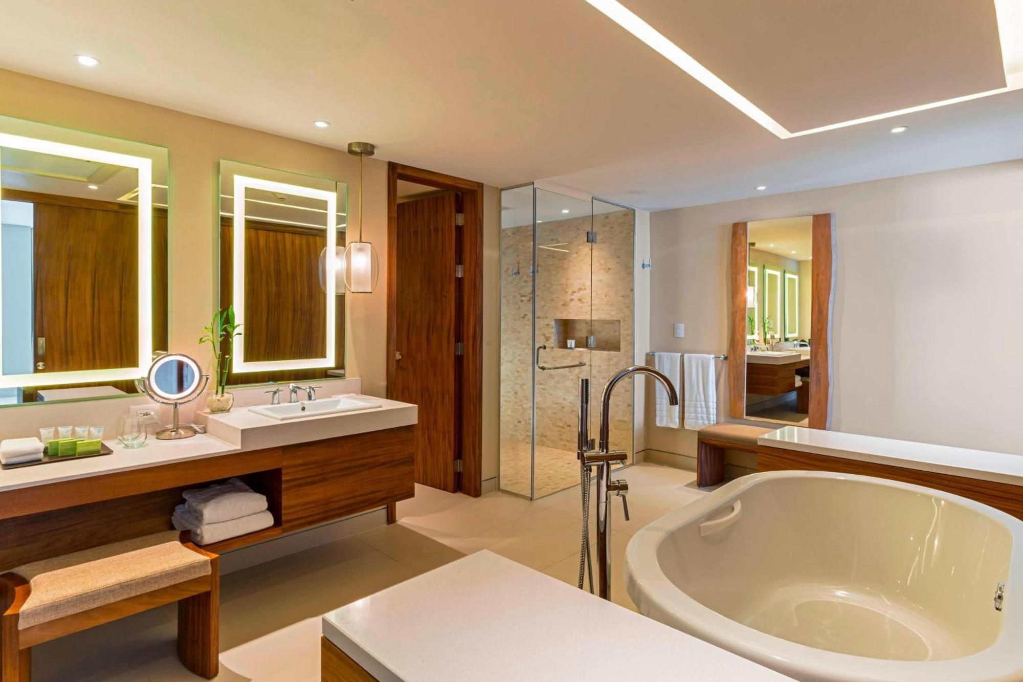 Master Suite 1 Bedroom Presidential Suite 1 King