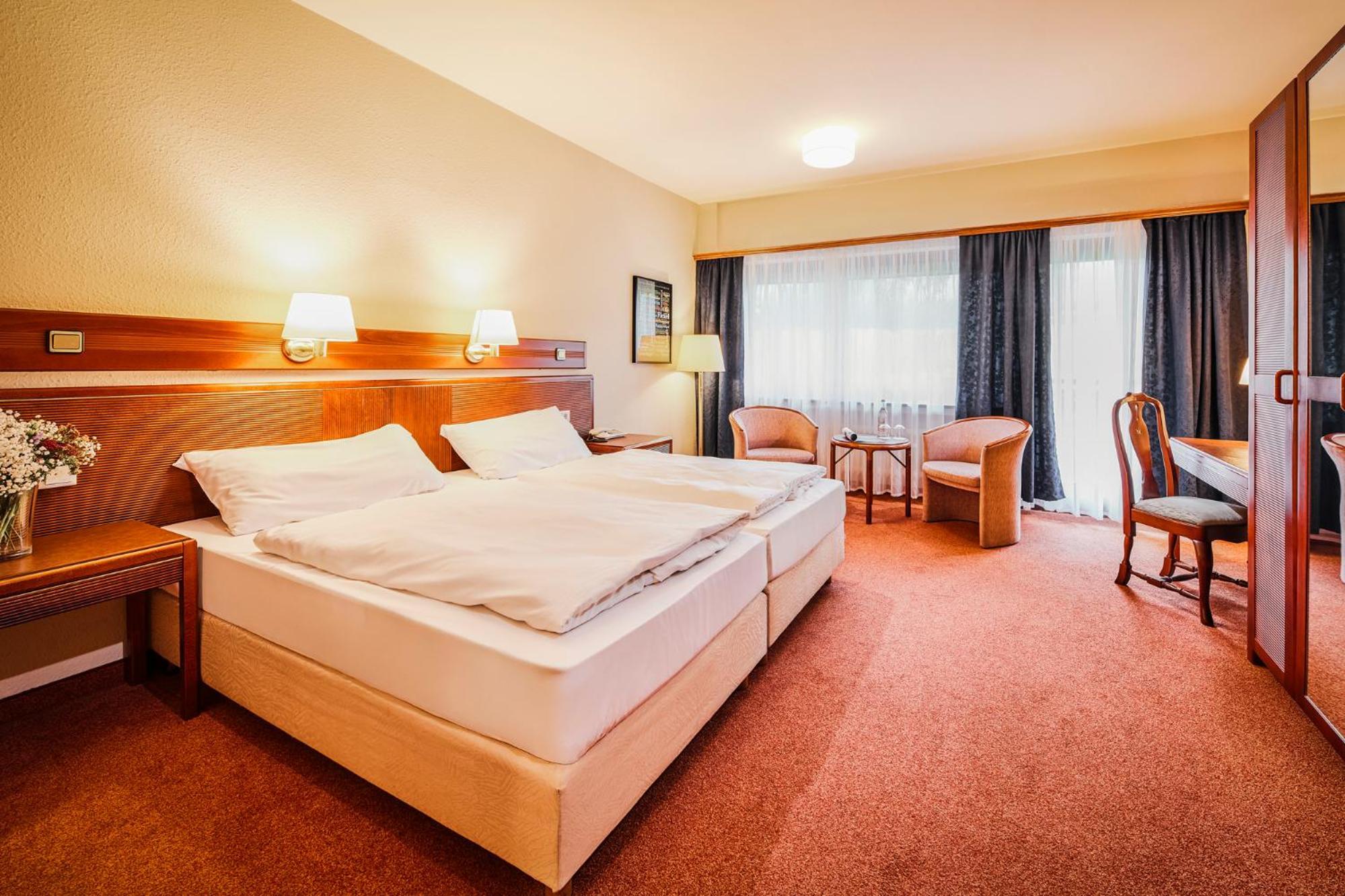 Double Room Mountain View