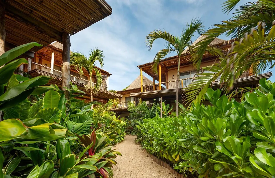 Hotel Shibari - Restaurant & Cenote Club-1