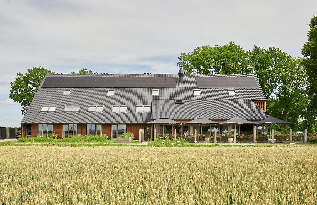 Het Witteveen-1