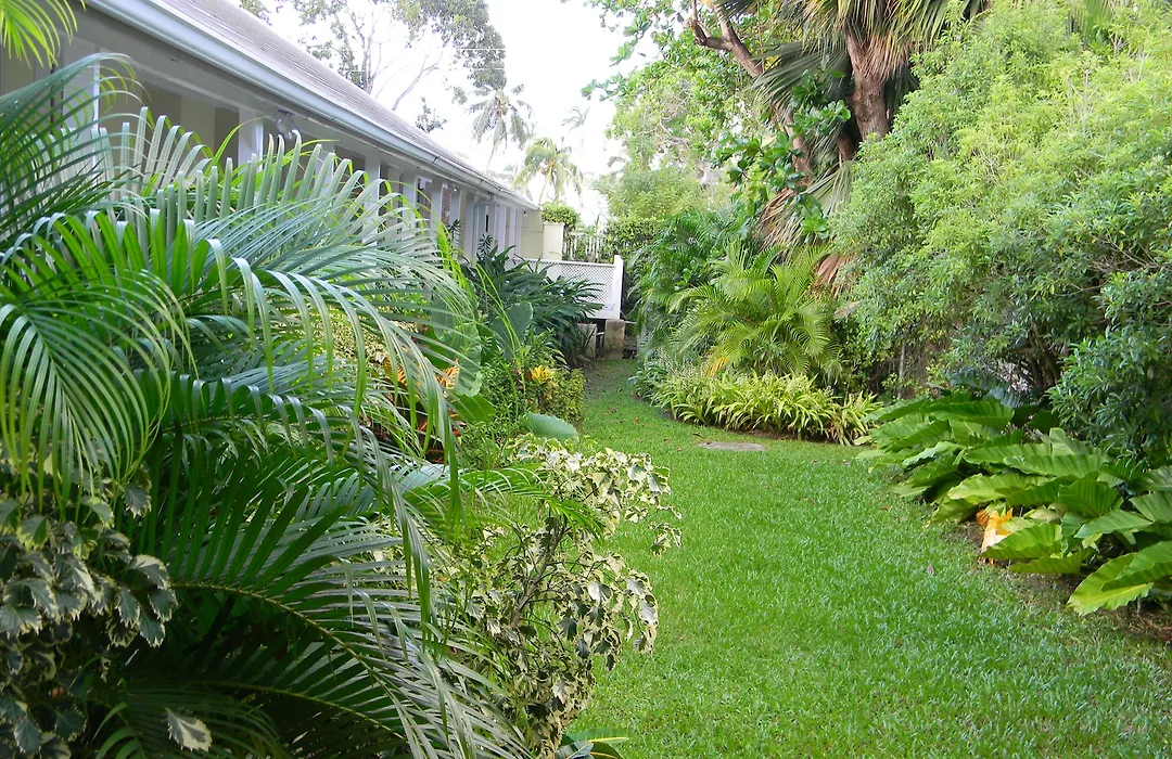 Island Inn Hotel All-Inclusive-1