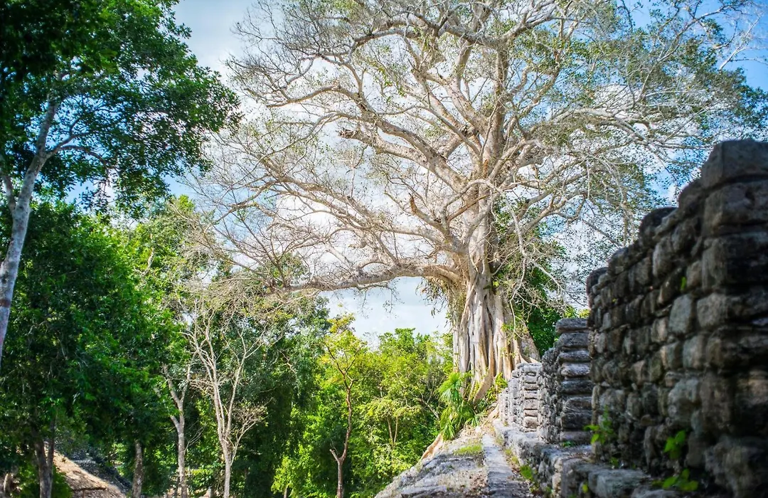 The Explorean Selva Maya Kohunlich-1