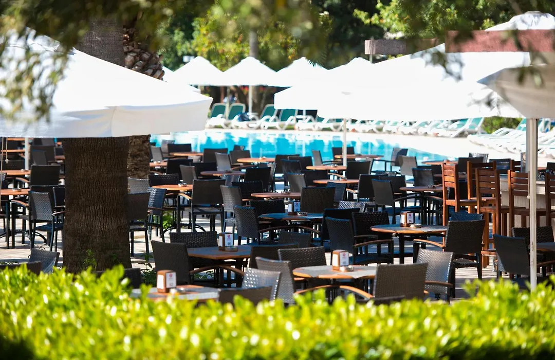 Barut Hemera-1