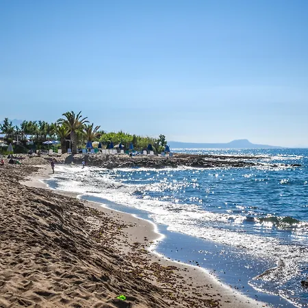 Creta Star Hotel - Adults Only-3