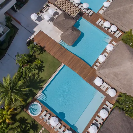 Privilege Aluxes Adults Only-3