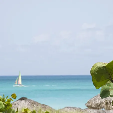 Blau Varadero Hotel - Adults Only-2