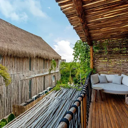 Hotel Shibari - Restaurant & Cenote Club-2