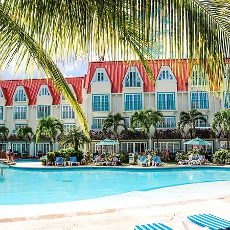 Coco Palm-2