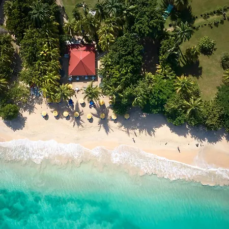 Mount Cinnamon Beach & Wellness Resort-2