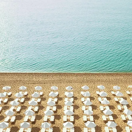 Grifid Hotel Foresta (Adults Only)-3