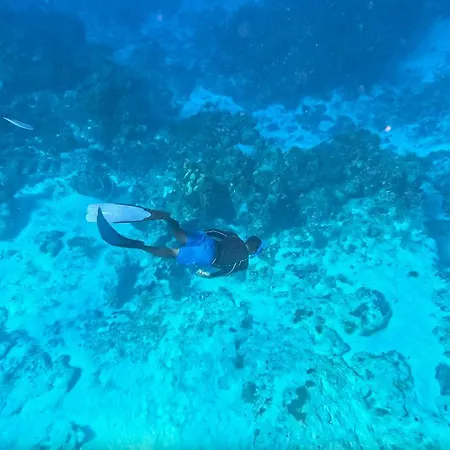 The Explorean Cozumel All Inclusive-2