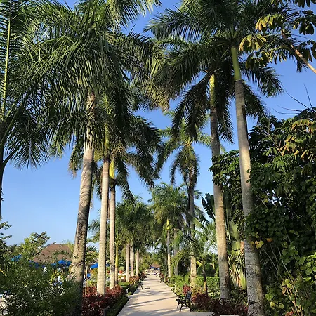 Allegro Cozumel All-Inclusive-2