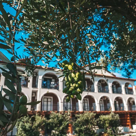 Castelli Hotel-Adults Only-3