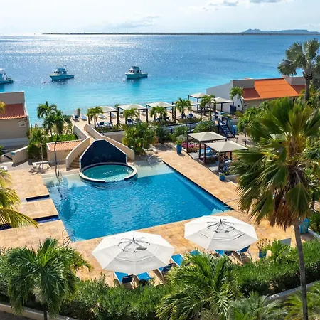 Divi Flamingo Beach Resort-2