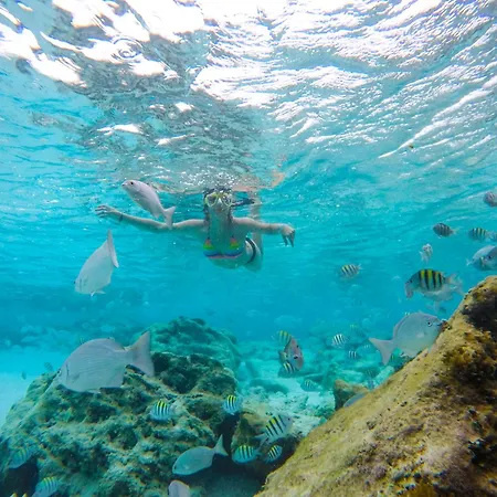 Mia Reef Isla Mujeres-3