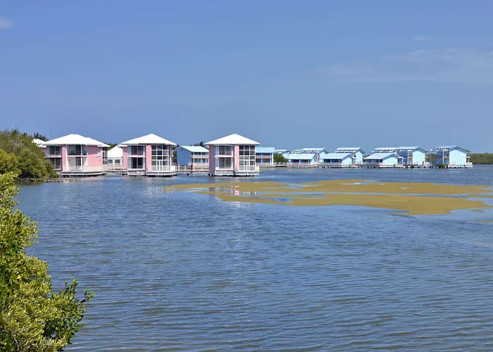 Melia Cayo Coco - Adults Only Hotel