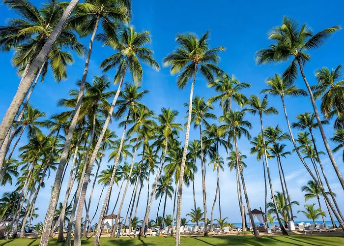 All Inclusive ResortsViva V Samana By Wyndham, A Trademark Adults All Inclusive