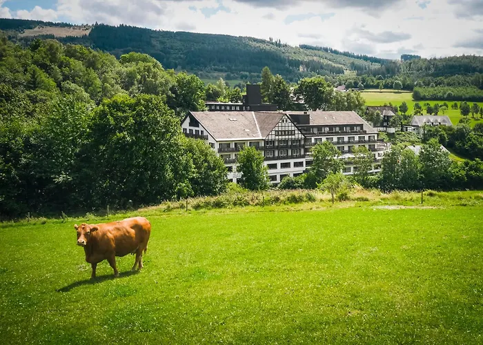 Sauerland Alpin Hotel Schmallenberg