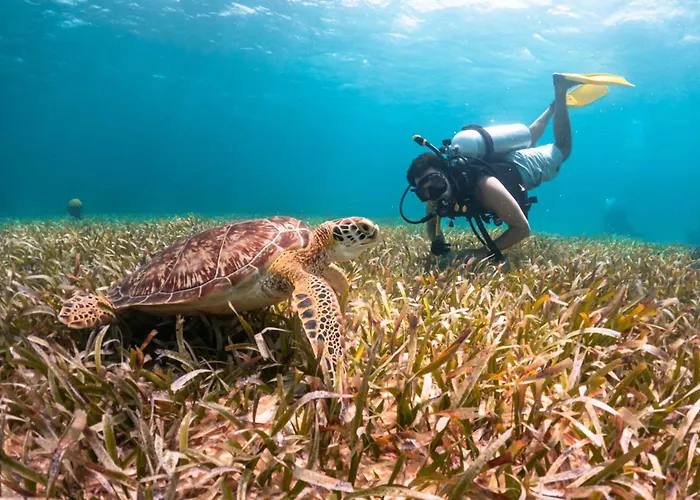 Reef Haven Belize Hotel San Pedro 